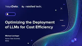 Optimizing the Deployment of LLMs for Cost Efficiency - Michael Levinger