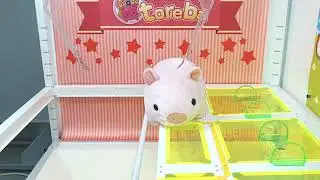 How to win Toreba first try Pocket Contact Zoo - Jumbo A #2 - Toreba Tips and Tricks