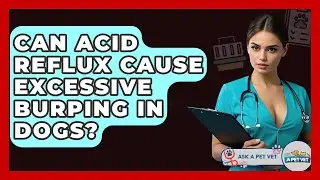 Can Acid Reflux Cause Excessive Burping In Dogs? - Ask A Pet Vet