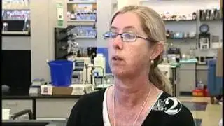 Deep Sea Discovery Could Cure Cancer