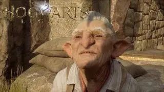 WSP&Oacute;ŁPRACUJEMY Z..GOBLINEM?! w HOGWARTS LEGACY #30 - NAUKA CZARU ARRESTO MOMENTUM