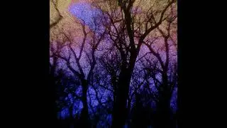 yupsnuf - i don't like being in love (Official Audio)