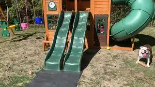 Sams club falcon Ridge Swing set
