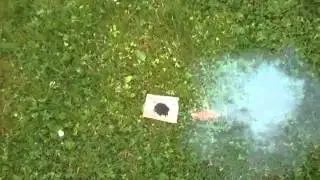 Corned blackpowder test 5,00g