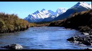 1 Hour HD Gentle Mountain Stream - Relaxing Nature Sounds