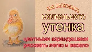 Симпатичный маленький утенок, как нарисовать цветными карандашами на цветной бумаге