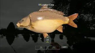 Russian Fishing 4 Amber Lake Frame Sided Carp Hotspot No PVA