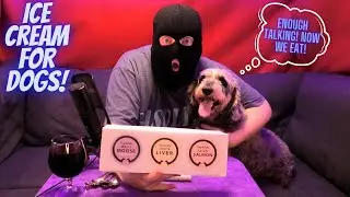 DOG ICE CREAM! Taste test! w/Balder