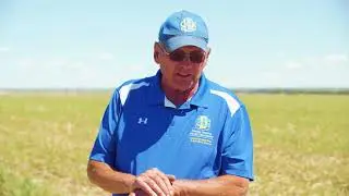 Irrigated No-Till Field That Has Been In Continuous Rotation of Corn and Soybeans Since 1990