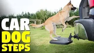 Dog Steps For SUV | Heininger Twistep