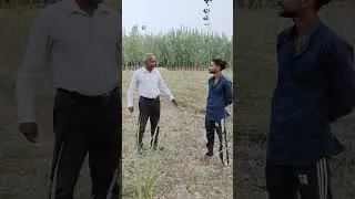 #song #bollywood #music #coversong #farming #वायरल #poplar
