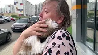 ВЛОГ/ТУМАН/ЕЗДИЛИ НА ДАЧУ/21.07.2025 г
