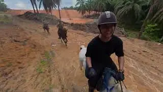 Energetic Ride at Kesuma stables with RideRecharge crew