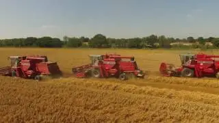 Massey Ferguson MF 865 Custom Harvesting Spring Oats in Norfolk, England.