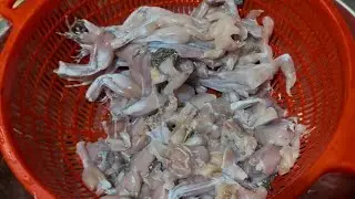 The hot frog soup looks very delicious guys happy