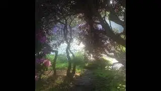 Serane / Milanezie Type Beat 'Jetlag' [Milanezie]