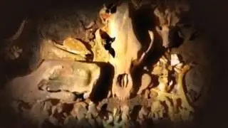 Comet Storms  Prehistoric Megastorms