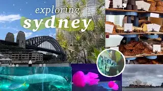 exploring sydney ☁️✨vlog