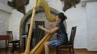 Ana Marija Franc - Andy Williams, Feelings