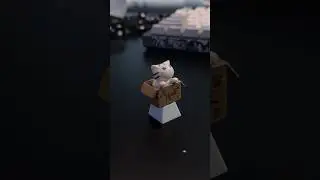 Как Кастомизировать Клавиатуру за 24 часа #custom #sergionee #творчество #техника #пк