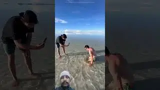 Giant Monster In The Sea HOLE😱🤯 #shorts #viral #trending #viralvideos #viralshort #education
