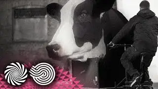 Beat Bizarre - Planned Obsolescence