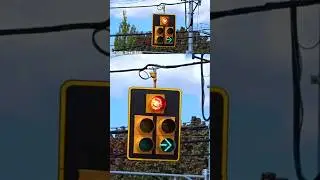 Doghouse Signal & FYA Traffic Lights