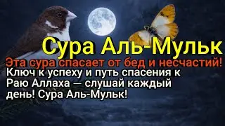 Ключ к успеху и защите семьи от любых форм страданий — слушай!