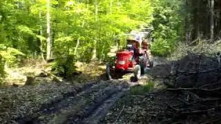 Brennholz - Abtransport mit Holzwagen