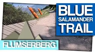 Blue Salamander - Flumserberg - 4k60