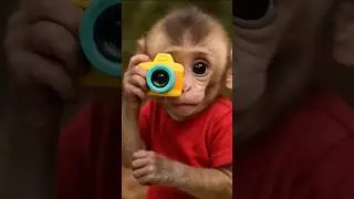 monkey Ne hamari photo khinch Li 😀😂 #shorts