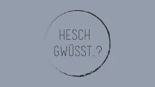 Hesch Gw&uuml;sst &hellip;? - Angewandte Kulturdiagnosen