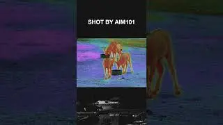Eland Hunt | Aim101 Fusion Imaging Precision #aim101#southafrica #hunting #NightVision #ShineNYX