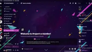 #report a member   Discord 02 06 2020 19 09 29