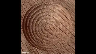 Balle en bois Tai Ji Quan DIY 2&egrave;me volet