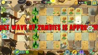 Mastering Day 16 Like a PRO! 🌿🔥 #PvZ2Tips