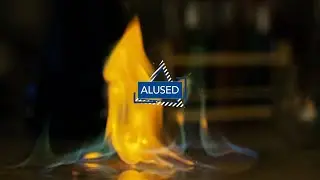Alused