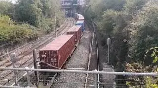 Trains @ Crewe. Variety of all sorts including Blue Peter 60532. Tue 9th Sep 2025. Part 2 of 3. 