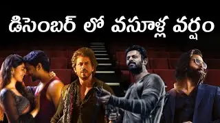 December: Indian Box Office is About to Explode || Animal || Salaar || Dunki || Prabhas || SRK ||