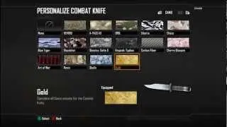 Call Of Duty Black Ops 2 :: PRESTIGE MASTER COMBAT RECORD