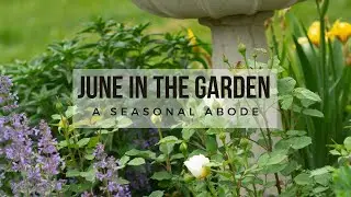 June Gardening Update 2025 | Zone 6a Southern Ontario Garden Tour & Tips | A Seasonal Abode