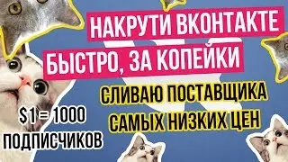 Как накрутить Вконтакте? Накрутить подписчиков, лайки, друзей, репосты