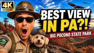 Big Pocono State Park FALL FOLIAGE 2025 Tour 4K