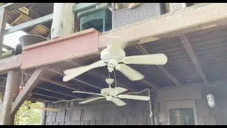 Ceiling Fan Destruction #29