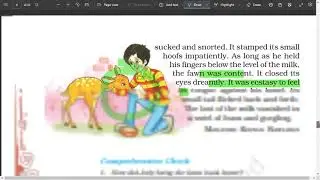 This is Jody's Fawn Class 8 Questions and Answers | Comprehension Check