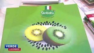 Frit Attraction: andiamo a conoscere Origine Group