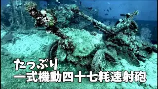 たっぷり一式機動四十七粍速射砲  Type 1 47 mm anti-tank gun【Truk Lagoon Chuuk Wreck Diving / チューク ダイビング 】