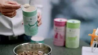 Meet Fabian: The veterinary scientist behind InnoVet&rsquo;s human-grade, Australian-made pet supplements.