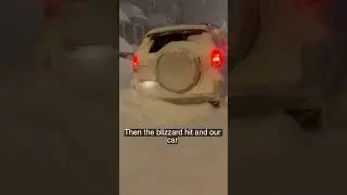 Снежная буря в Торонто