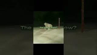 The biggest snow #snow #snowfall #snowman #edit #shorts